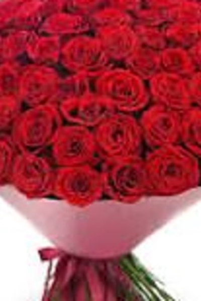 101 roses 🌹