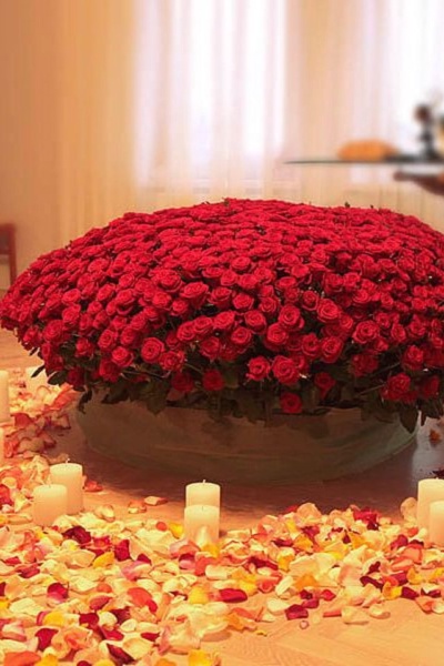 🌷🌷🌷 honey with love for me ❤️