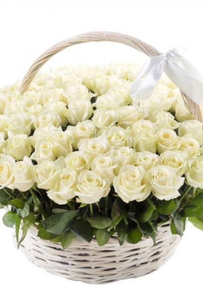 101 white roses 🤍🌹